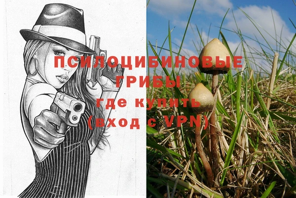 шишки Бронницы